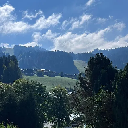 Gondola & *